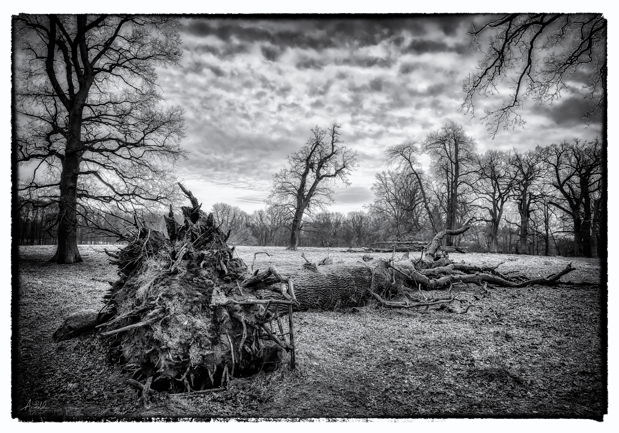 Putbus web