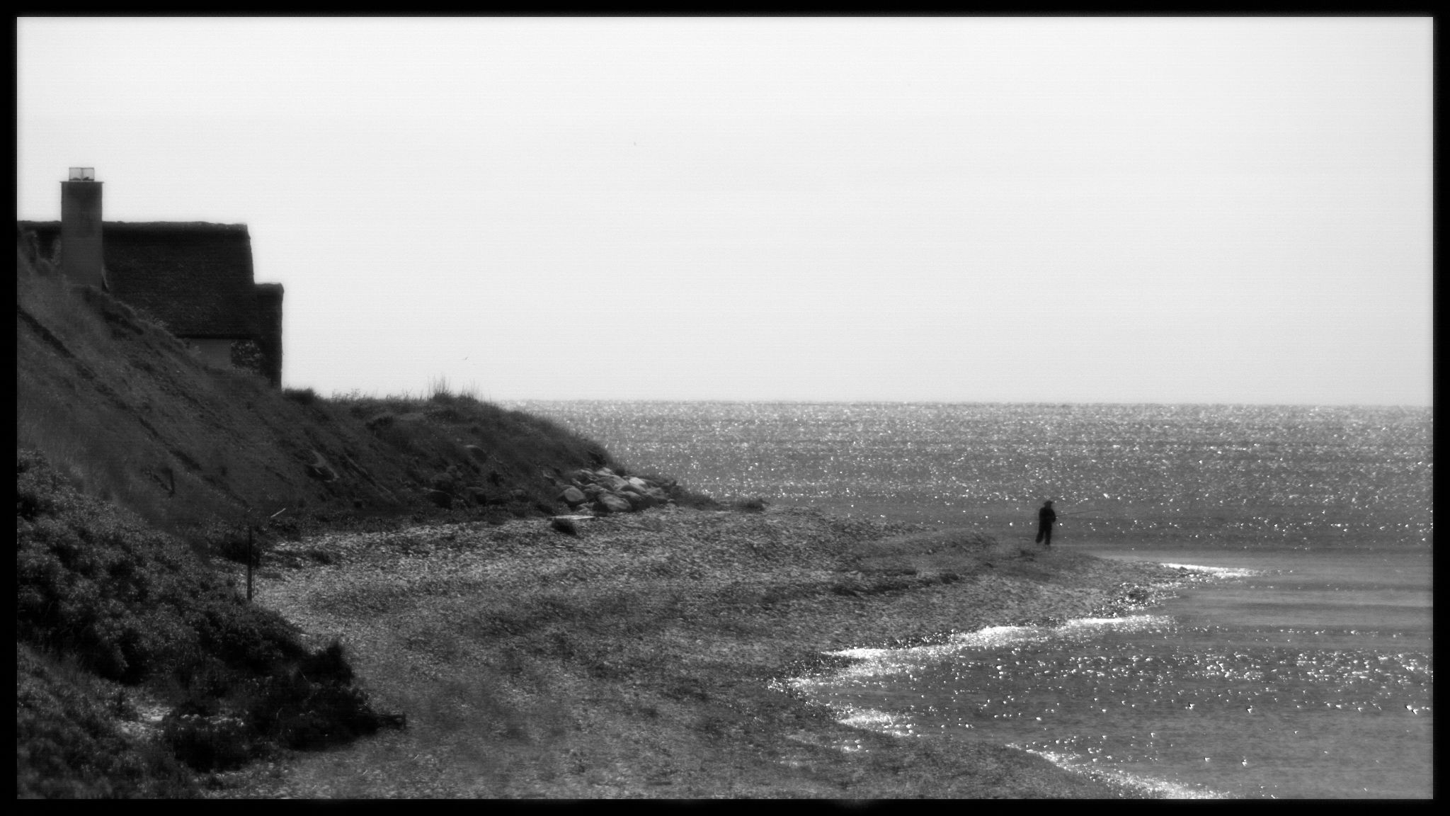 40496081163 7c47d7d172 o