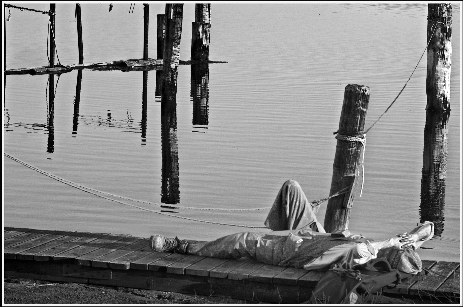 87995320 108633534076294 5181229206209560576 o 49950199967 o