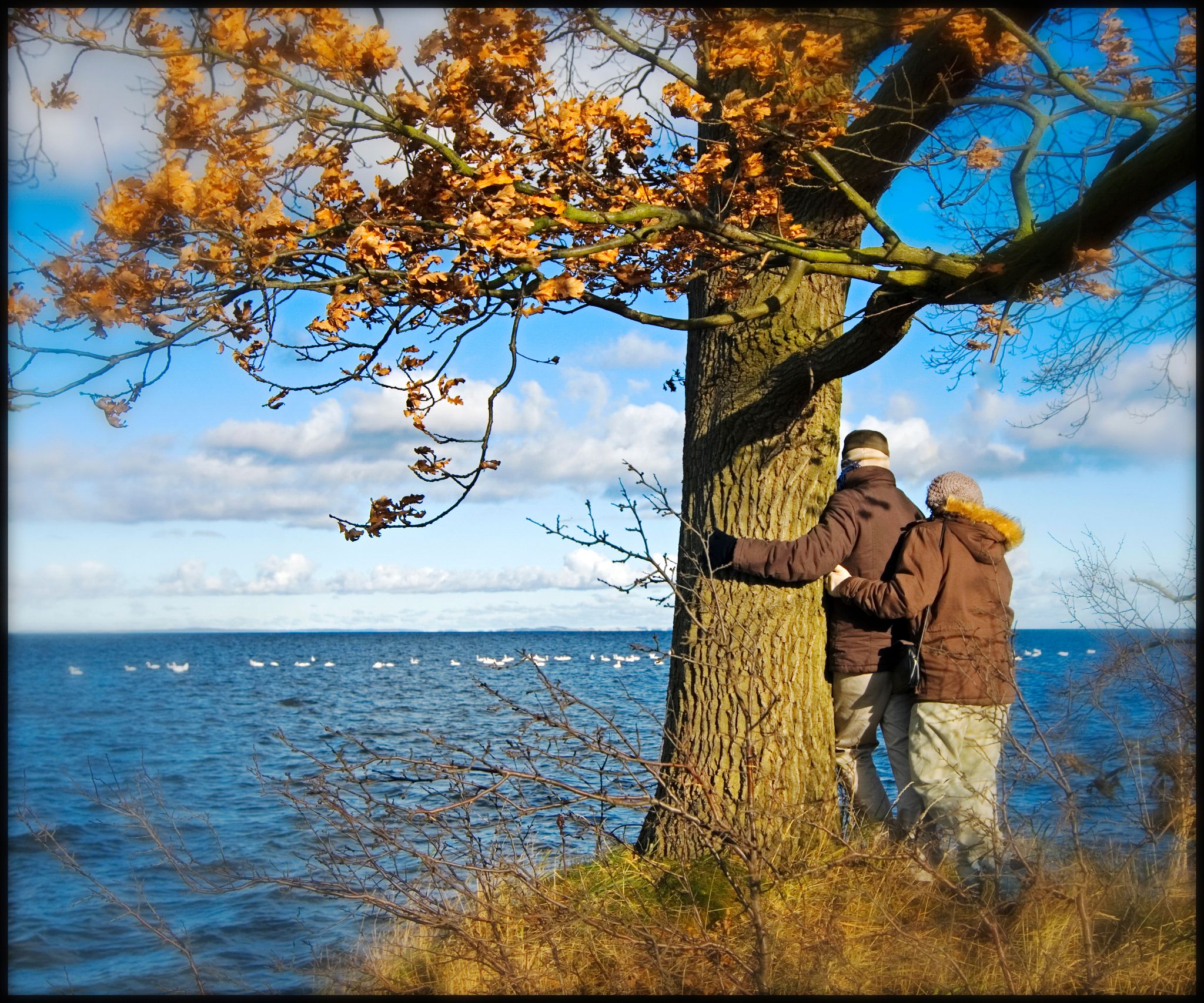  0000048 33585865818 o