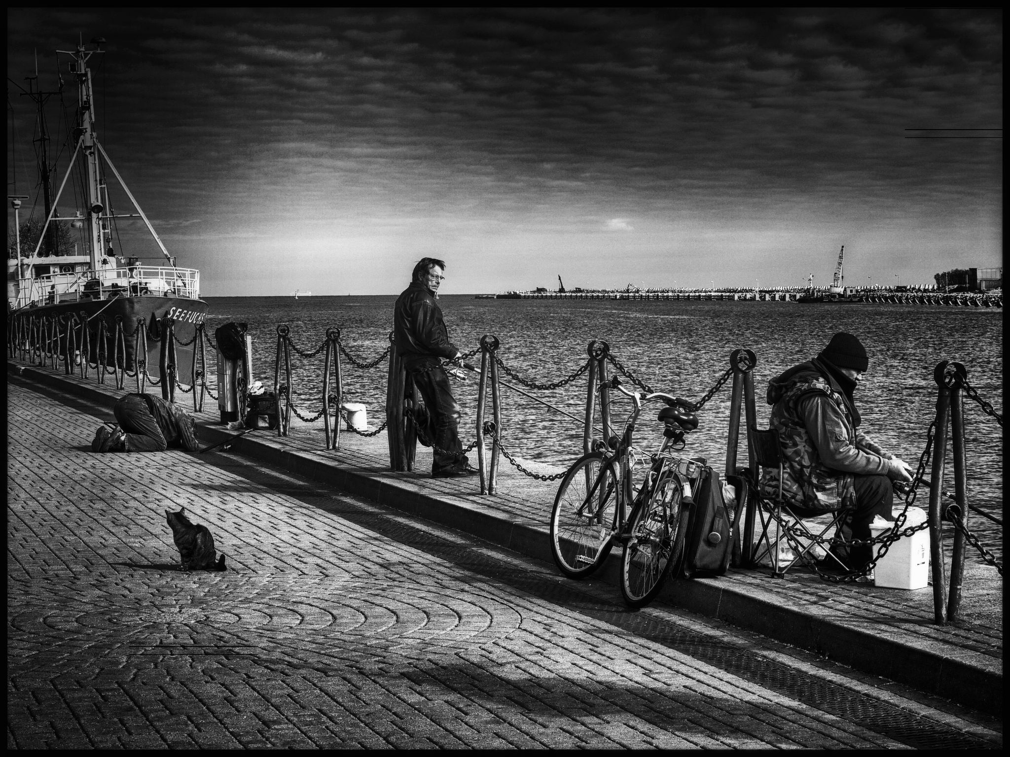  1030502sw 49756047931 o