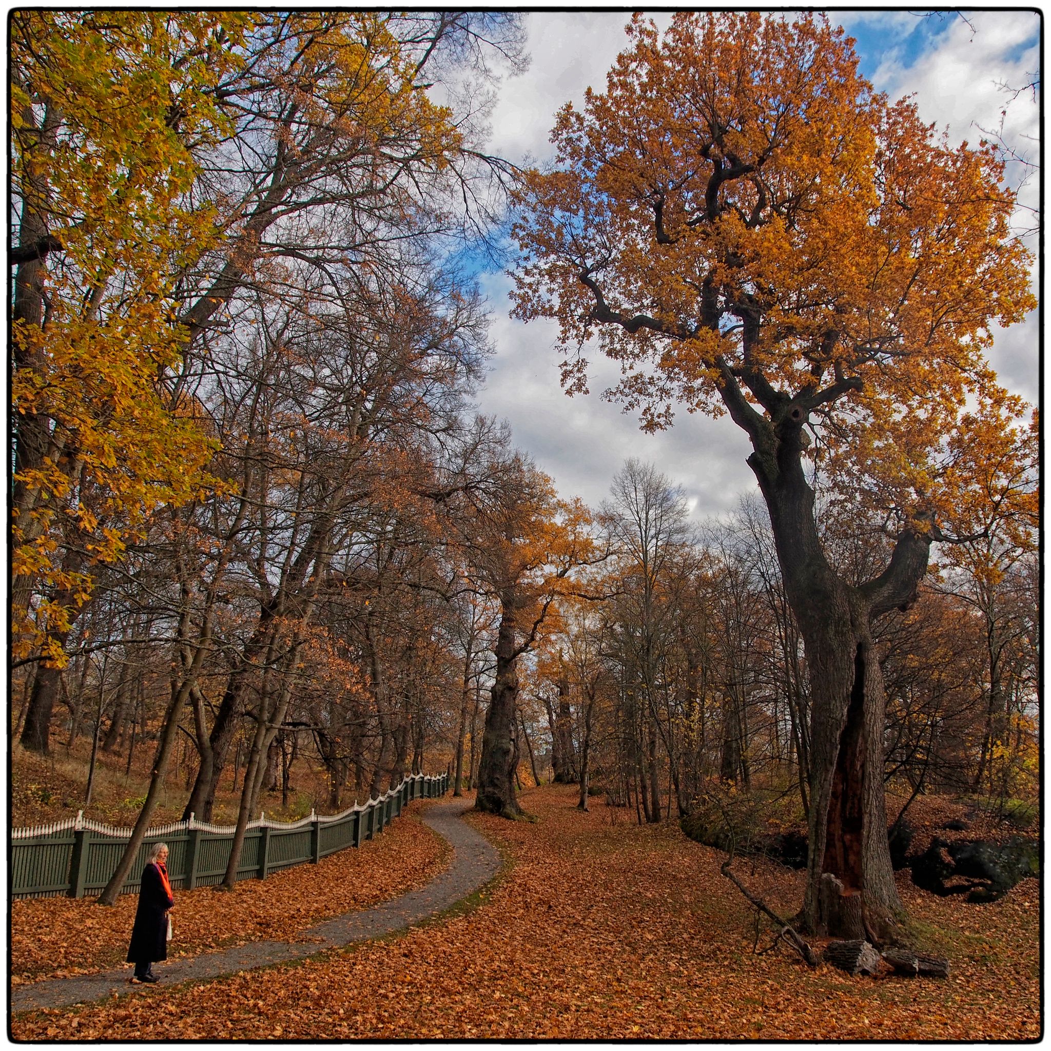  a270117 kopie 32172641631 o