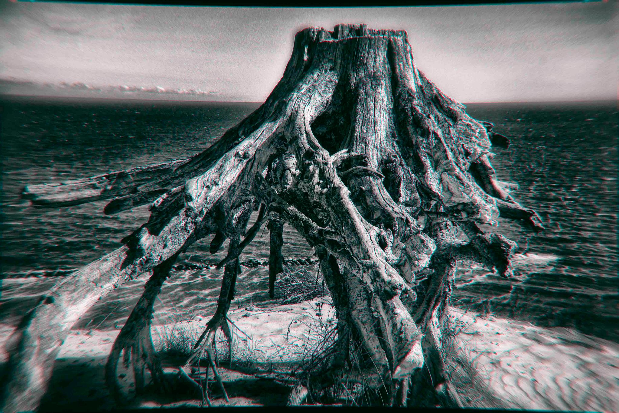  dsc0005 kl 32292234645 o