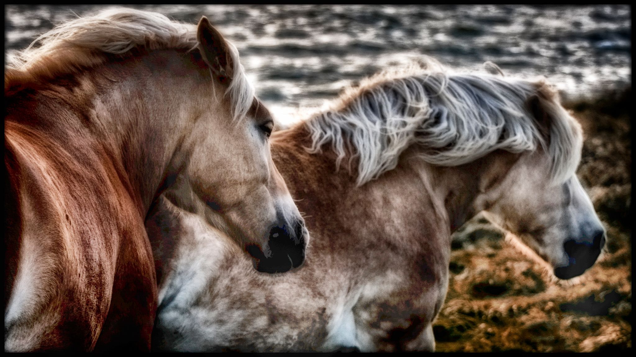  dsc0084 31481930953 o