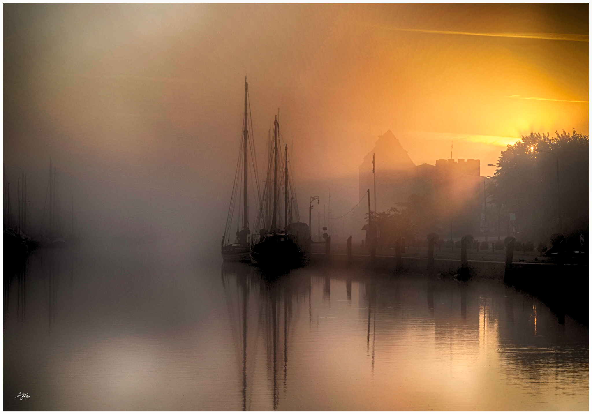  dsc0733 52236817745 o