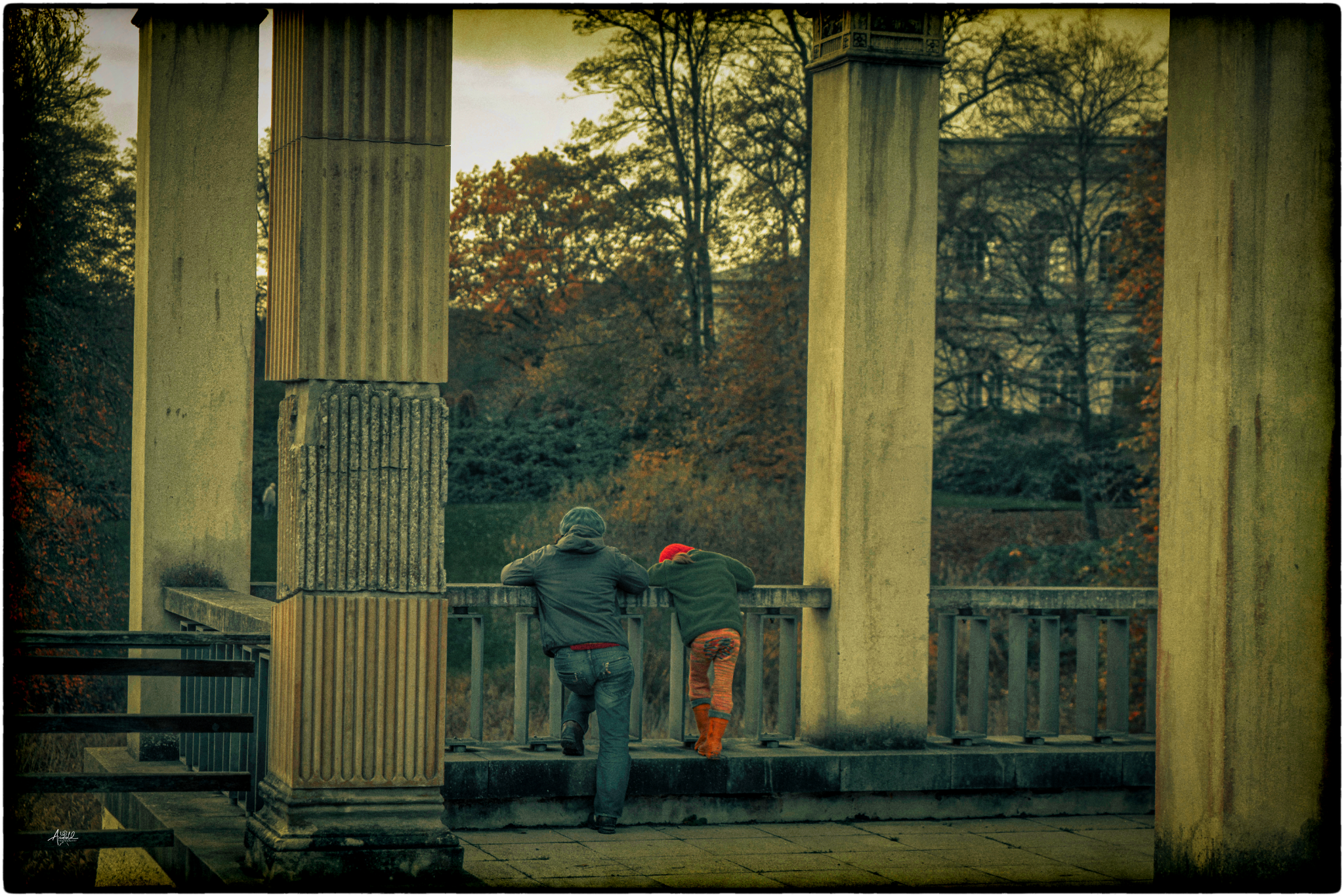 Dsc02055   kopie 52236322978 o