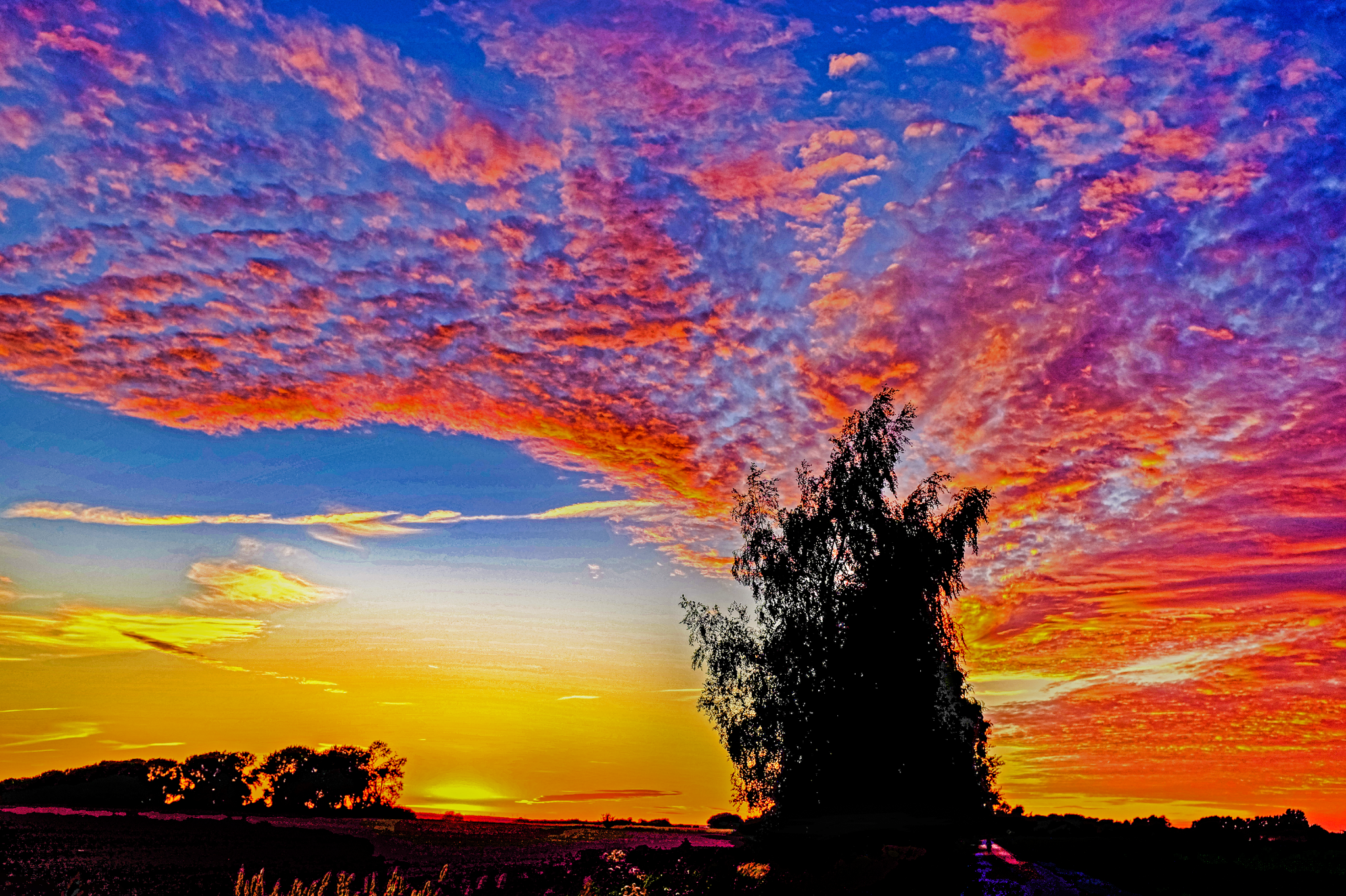 Dscf0455   kopie 52236798825 o