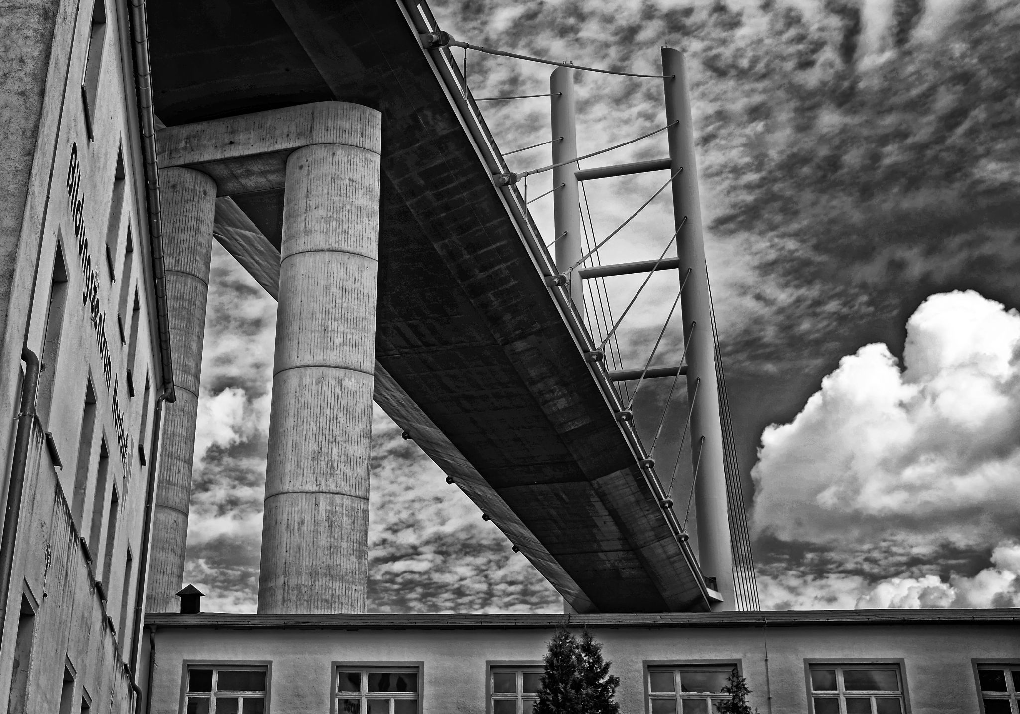 Dscf6784 34146210605 o