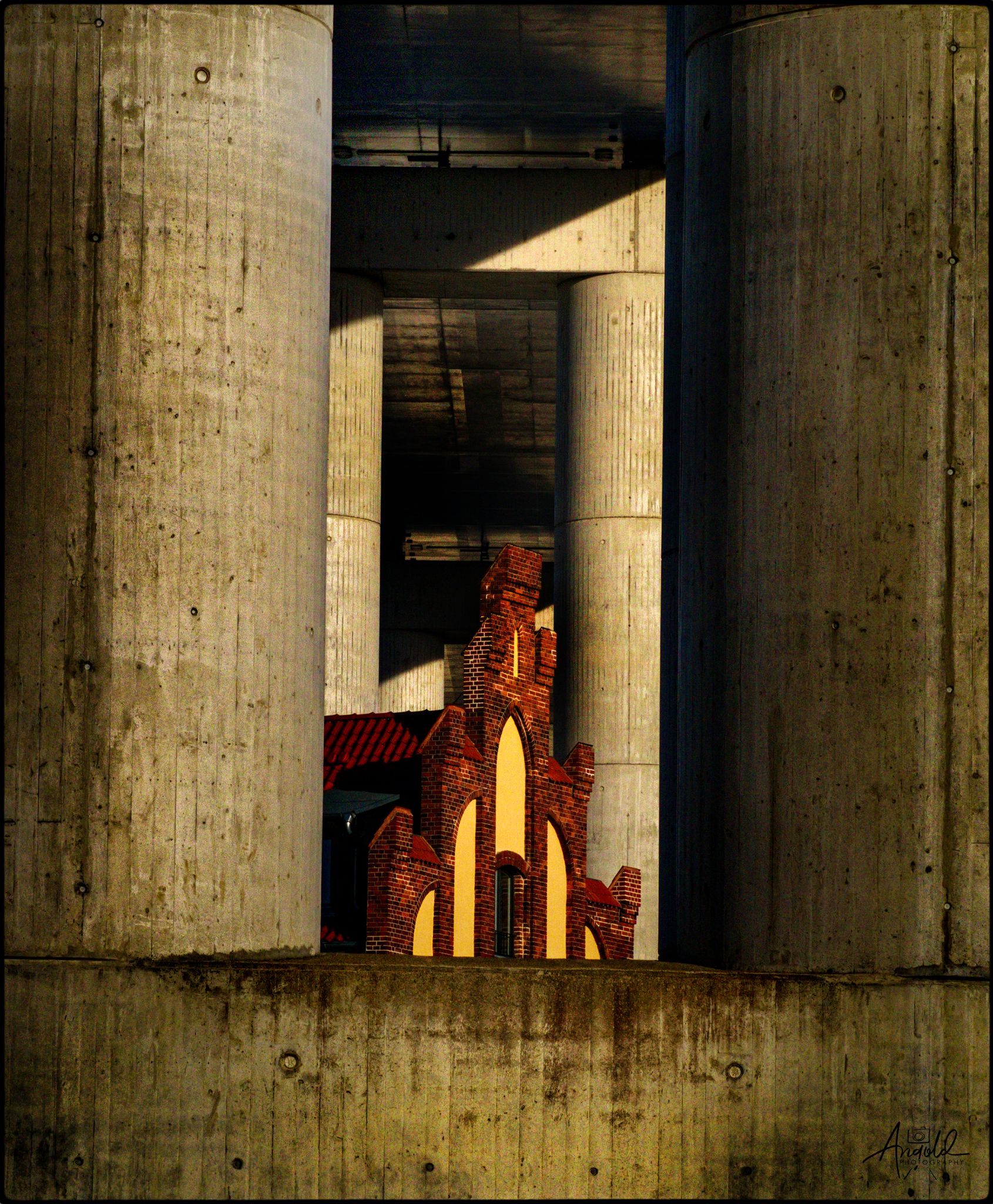 P1010009 46827325584 o