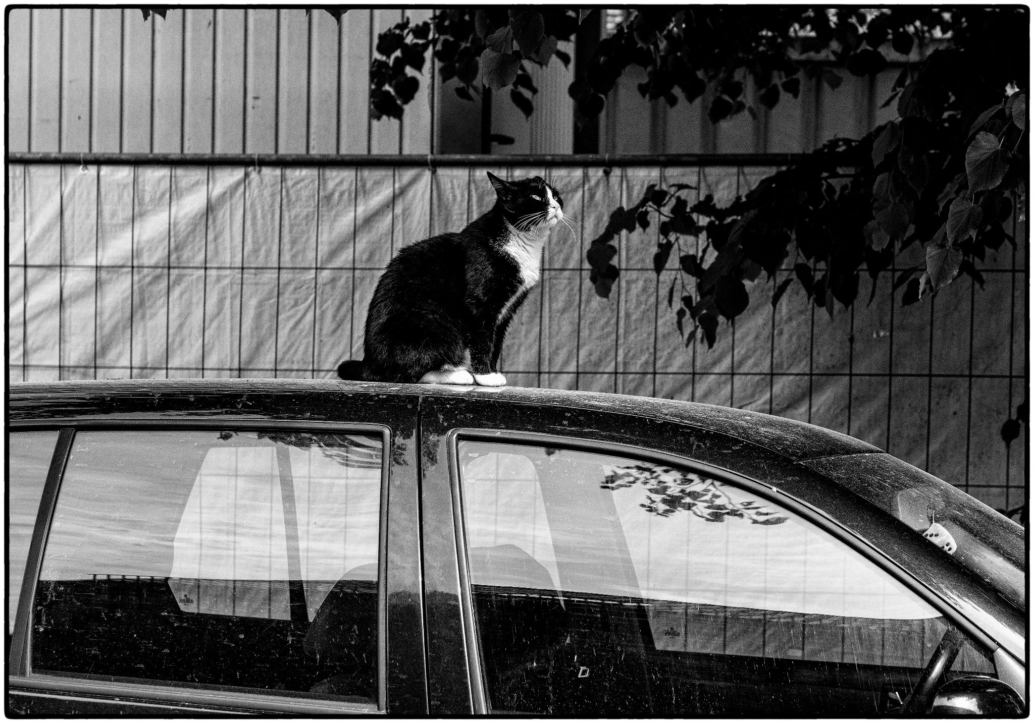 P5150035 50353681037 o