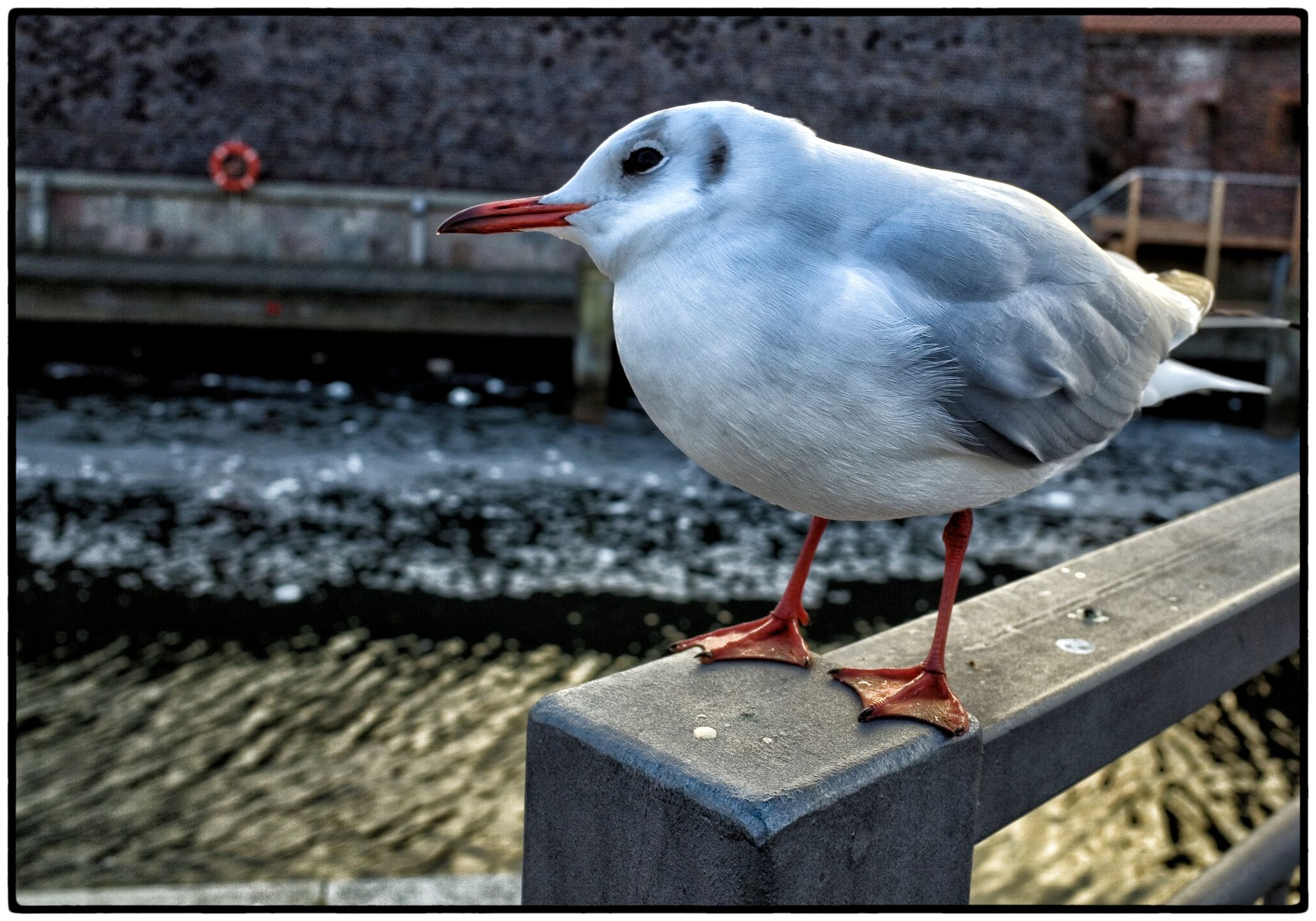 R0010241 30298883774 o