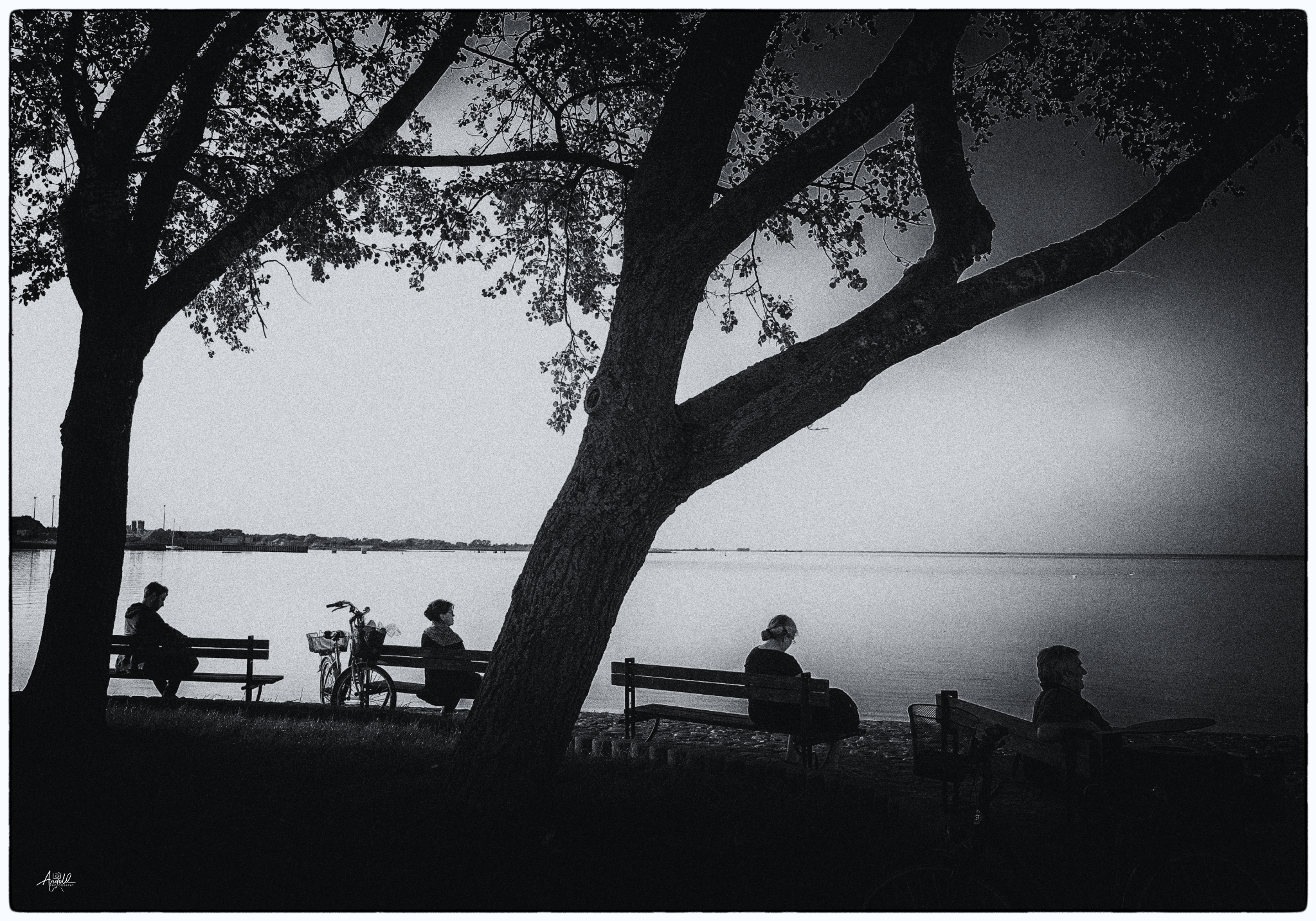 R0021558   kopie 2   kopie 52236308073 o