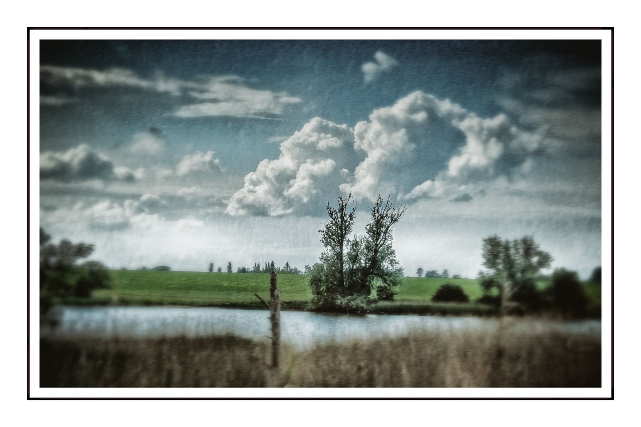 DSCF0770