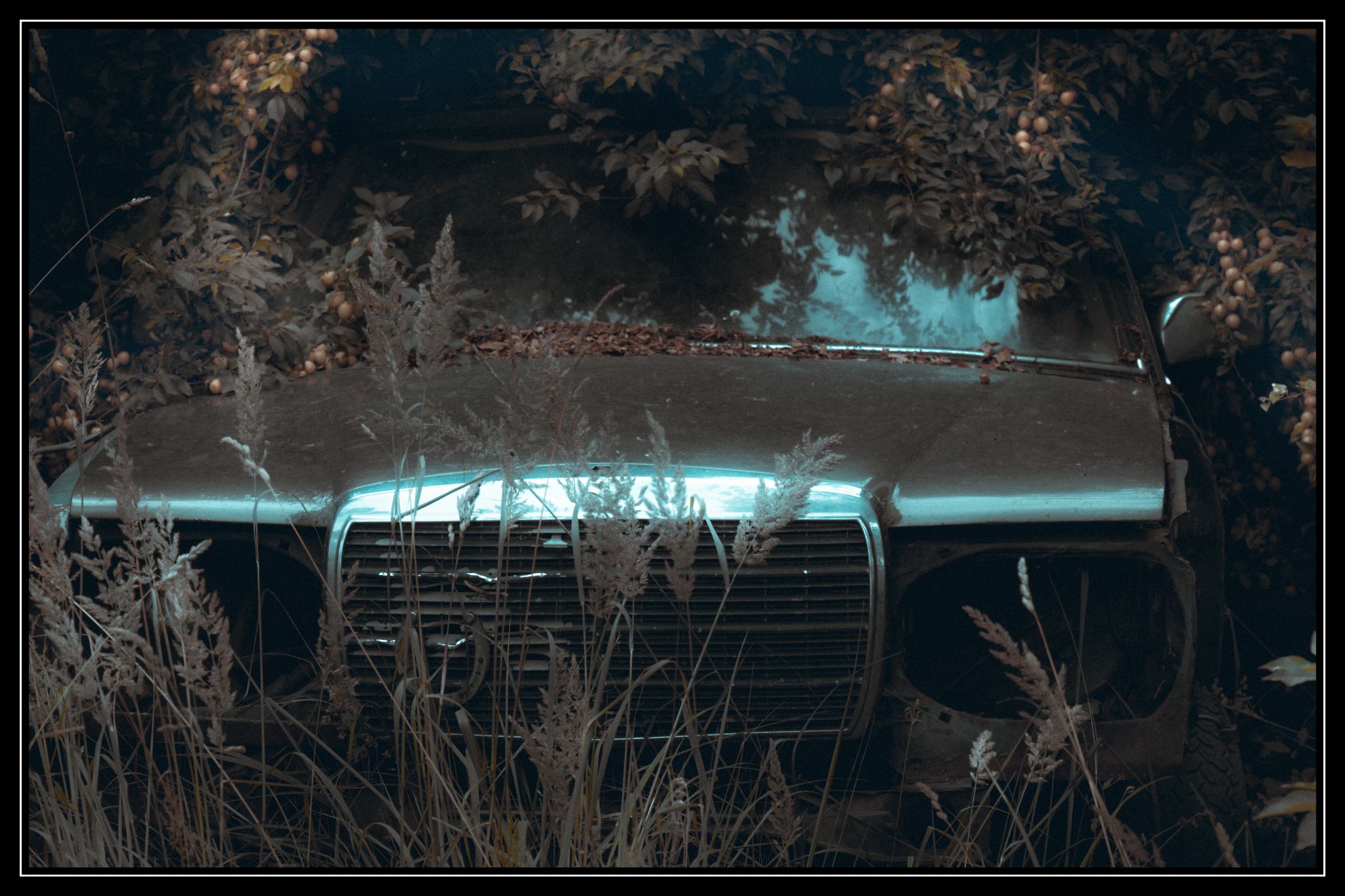 DSCF3338